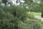 Valentine NSWresidential-landscaping-35.jpg; ?>