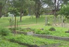 Valentine NSWresidential-landscaping-39.jpg; ?>