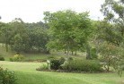 Valentine NSWresidential-landscaping-40.jpg; ?>